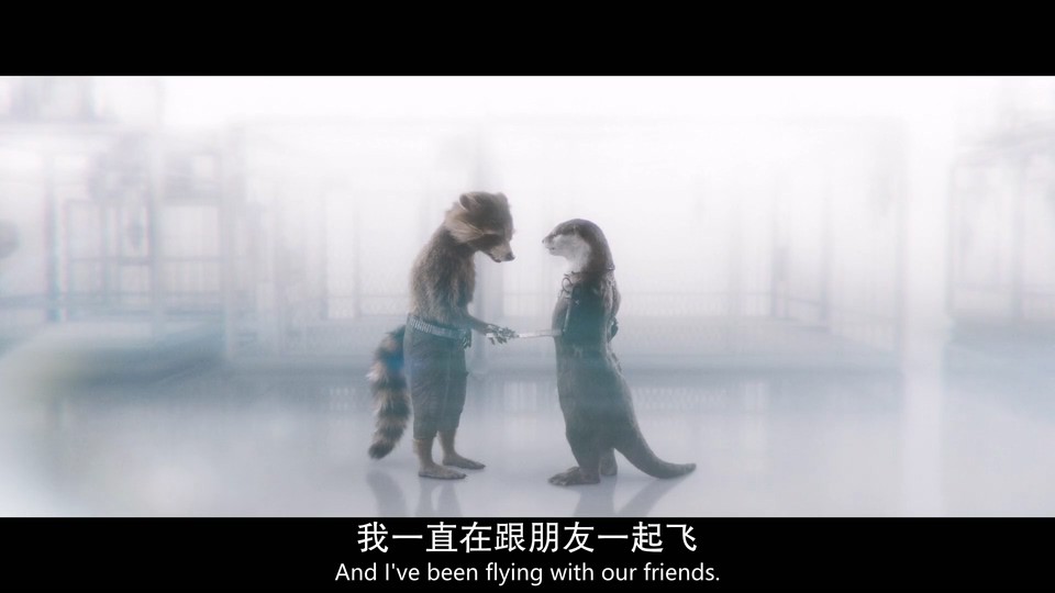 2023科幻动作《银河护卫队3》HD1080P.英语中英双字截图