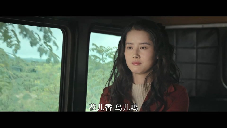 2022国剧《沸腾人生》40集全.HD1080P&4K.国语中字截图