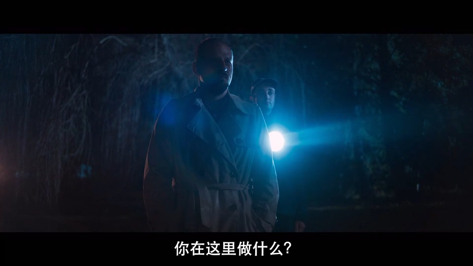 2021波兰犯罪《W谋杀案》HD720P&HD1080P.波兰语中字截图