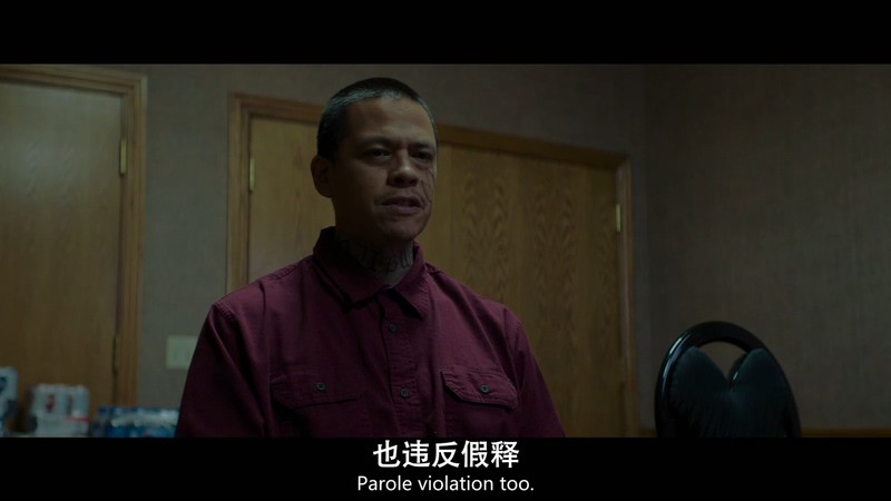 2021美国惊悚《狂野的印第安人》HD720P&HD1080P.英语中英双字截图