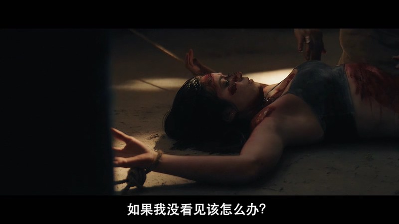 2020美国恐怖《驱魔古法》HD720P&HD1080P.英语中字截图