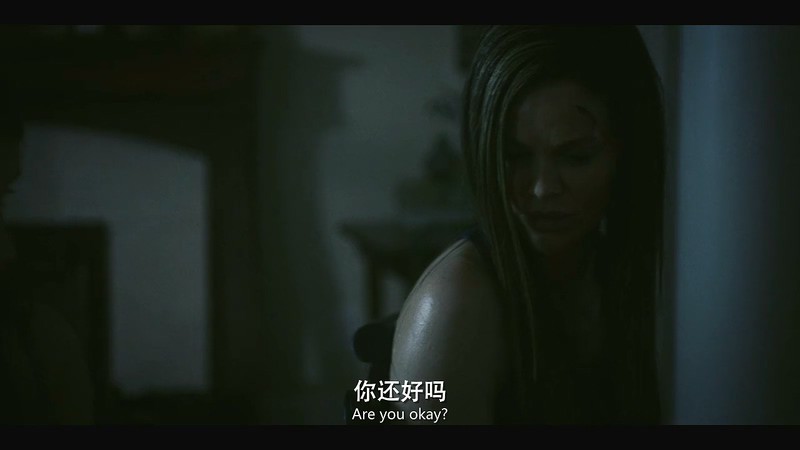 2020动作惊悚《长夜危机》HD720P&HD1080P.英语中英双字截图