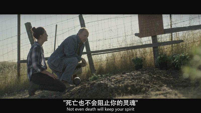 2020美国惊悚《捍卫家园》HD720P&HD1080P.英语中英双字截图