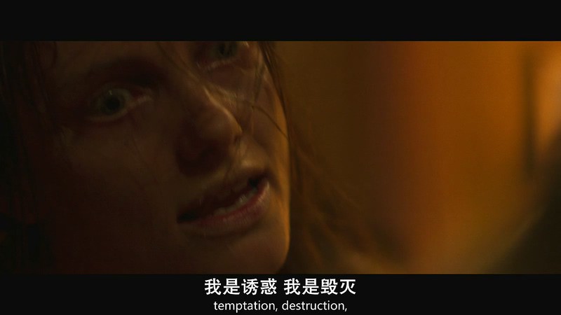 2019恐怖惊悚《陷阱之中》HD720P&HD1080P.英语中英双字截图