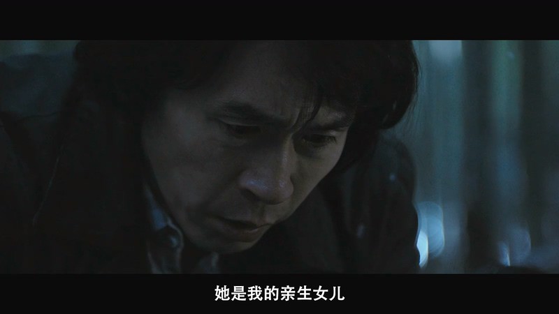 2017悬疑犯罪《杀人者的记忆法》BD720P&BD1080P.韩语中字截图