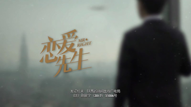 2018爱情电视剧《恋爱先生》45集全.HD1080P.国语中字截图
